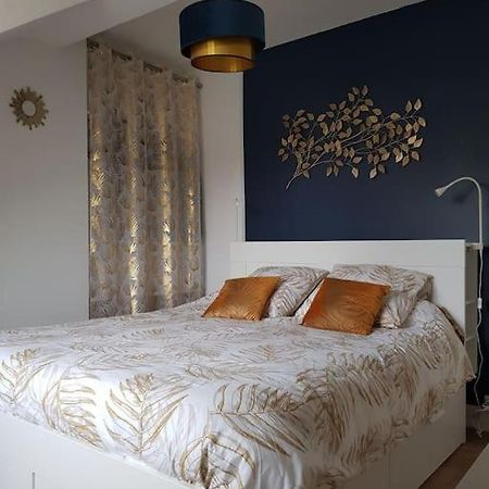 Appartement Lumineux Et Moderne Le Mans Ngoại thất bức ảnh